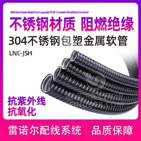 雷诺尔 展示图