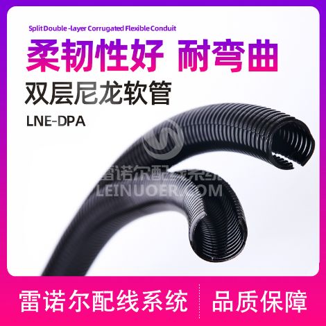 雷诺尔 展示图