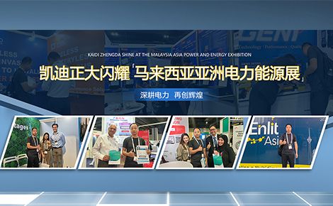 凯迪正大 展示图