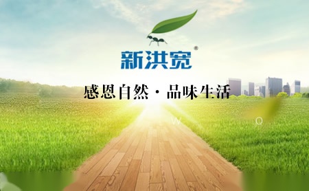 新洪宽 展示图