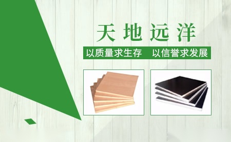 天地远洋 展示图