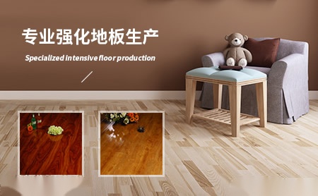 欧朗地板 展示图