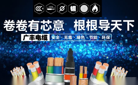 金广丰 展示图
