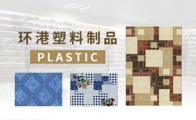 环港 展示图