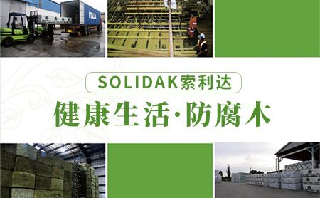 Solidak索利达 展示图