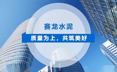 赛龙 展示图