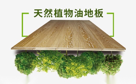 汉斯HESSE 展示图