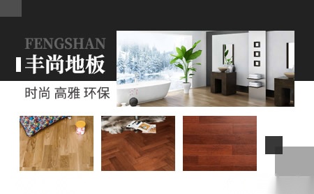 丰尚FESHIO 展示图