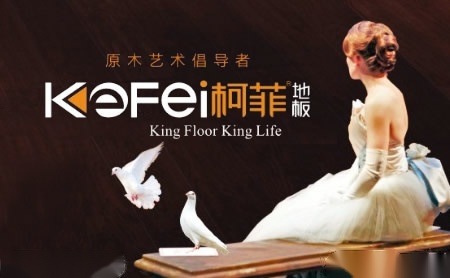 柯菲KeFei 展示图