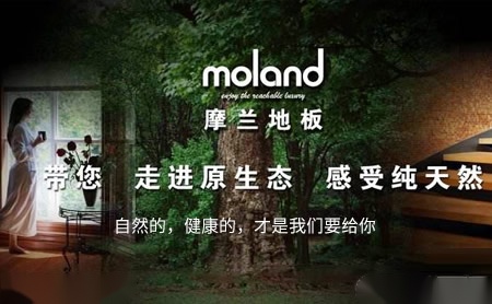 摩兰moland 展示图