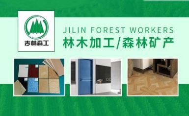 吉林森工 展示图