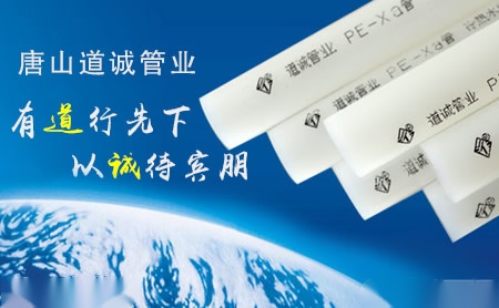 道诚 展示图