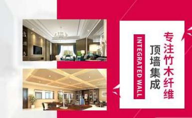 法鹏顶墙集成 展示图