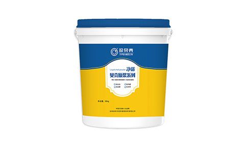 珍贝壳贝壳粉 展示图