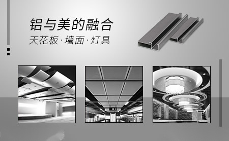 益龙 展示图