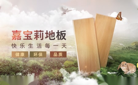 嘉宝莉地板 展示图