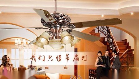 邦尼达BND 展示图