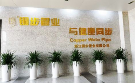 铜步 展示图