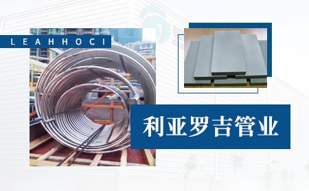 利亚罗吉LEAHHOCI 展示图