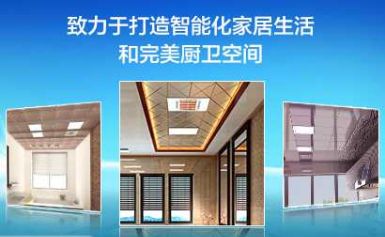 雷士橱卫 展示图