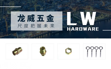 龙威LW 展示图
