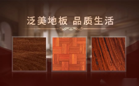 泛美Panamerica 展示图