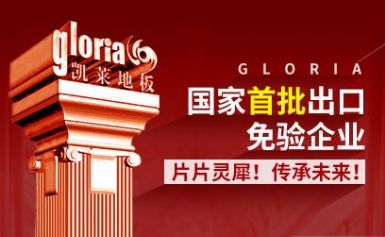 凯莱地板gloria 展示图