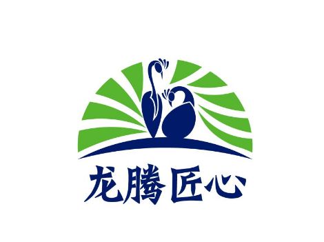 龙腾匠心 展示图