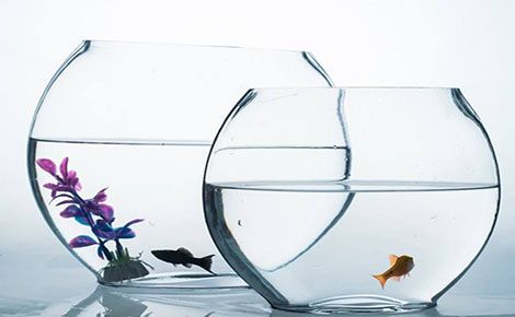 欢畅 展示图