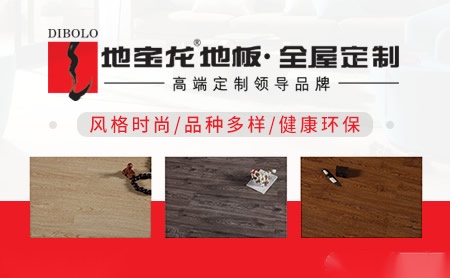 地宝龙DIBOLO 展示图