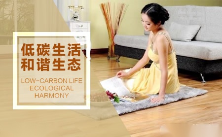 上书房地板 展示图