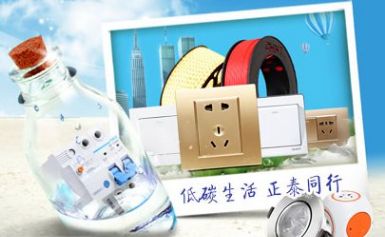 CHNT正泰电工 展示图