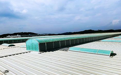 皓之瑞 展示图