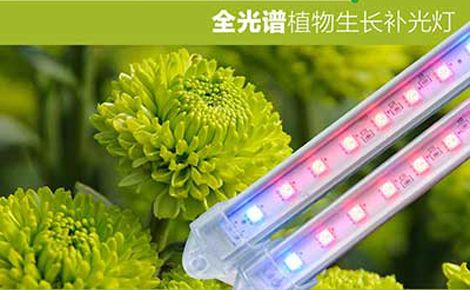 晶华光电 展示图
