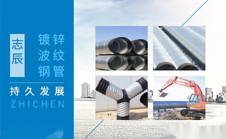 志辰 展示图