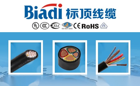 标顶线缆Biadi 展示图