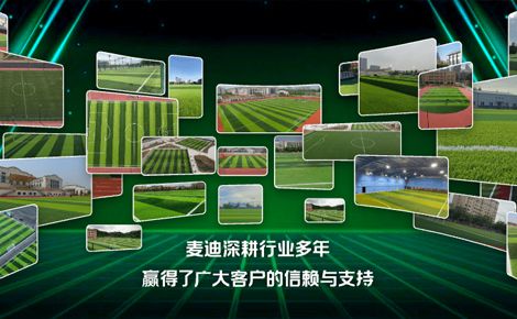 麦迪MTGRASS 展示图