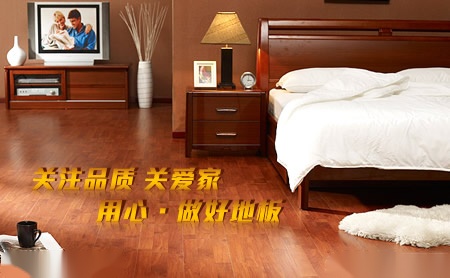 国栋GD 展示图