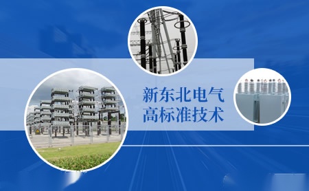 NPC 展示图