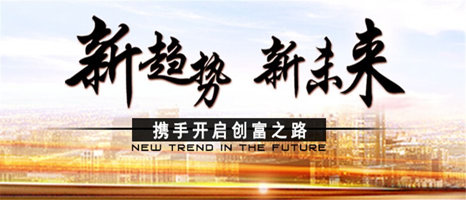 艾臣门窗 展示图