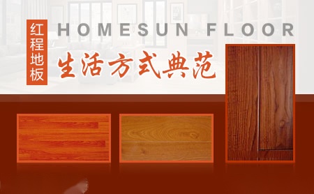 红程HOMESUN 展示图