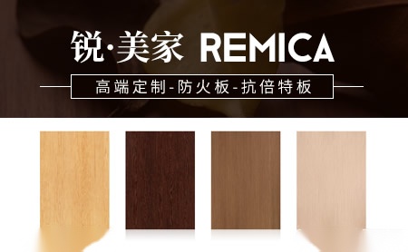锐美家remica 展示图