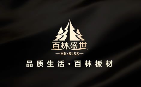 百林盛世 展示图