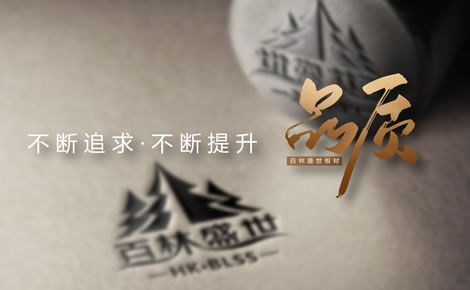 百林盛世 展示图