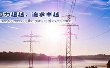 TOSHIBA东芝电气 展示图