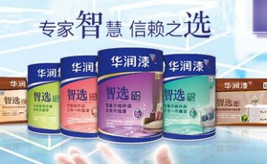 华润漆 展示图