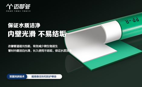 迈耶 展示图
