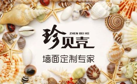 珍贝壳 展示图