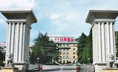 YT云锡 展示图