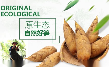 西科coko 展示图